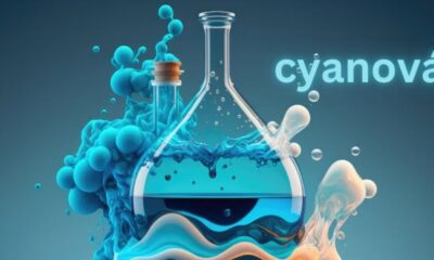 The Comprehensive Guide to Understanding Cyanová