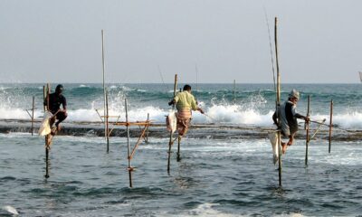 Peiscans: Exploring the Essence and Tradition of Coastal Fishing Communities